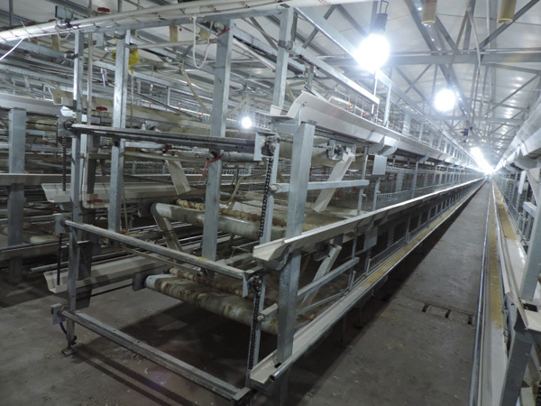 層疊式蛋雞籠養(yǎng)養(yǎng)雞設(shè)備