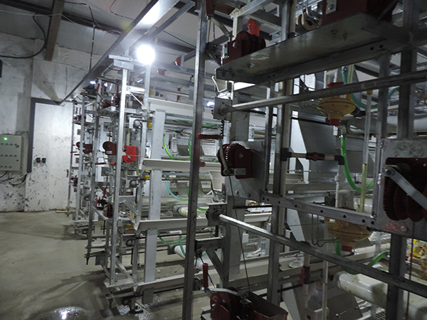 層疊式雛雞設(shè)備